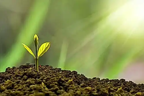 Сукааа казино 2acb98