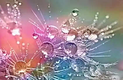 Сукааа сайт f2114e